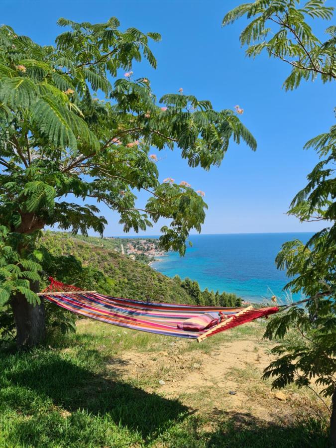 Greco Paradise Suites - Adult Only Nea Skioni Zewnętrze zdjęcie