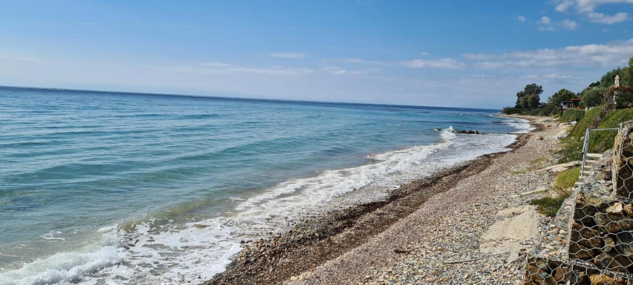 Greco Paradise Suites - Adult Only Nea Skioni Zewnętrze zdjęcie