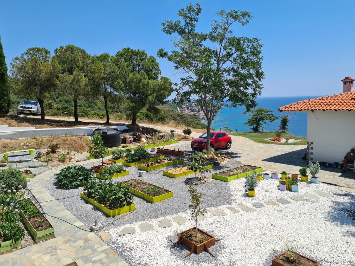 Greco Paradise Suites - Adult Only Nea Skioni Zewnętrze zdjęcie